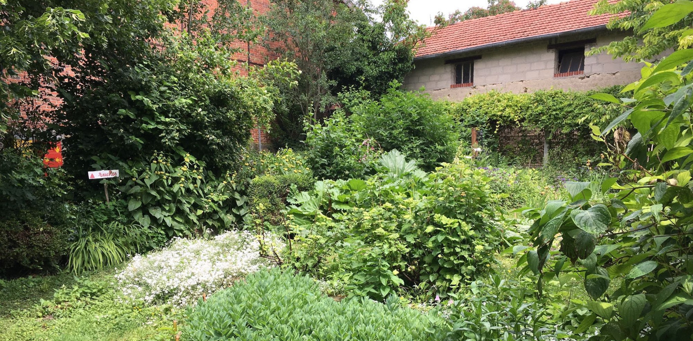 Le jardin de Brigitte